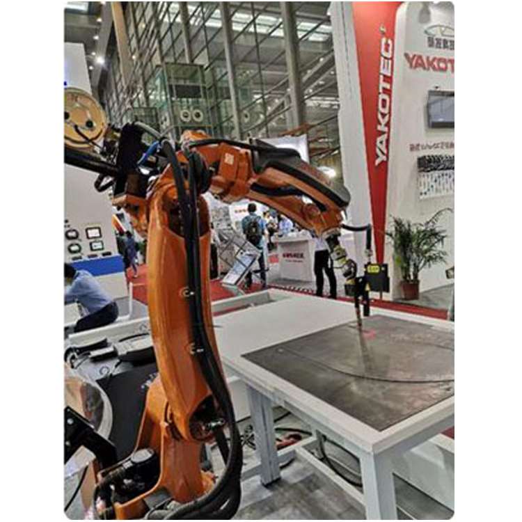 Braccio Robotico Industriale a - Linear Guide Rail recensione e prezzo