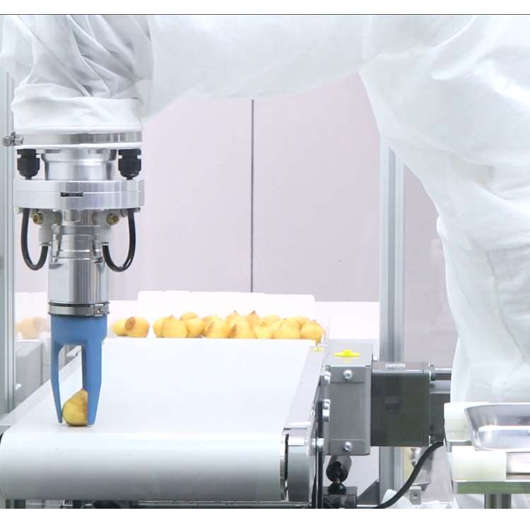 Braccio Robotico CNC a 6 Assi  - Linear Guide Rail recensione e prezzo